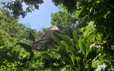 Se Alquila Casa Jaguar en el Selvatorium!