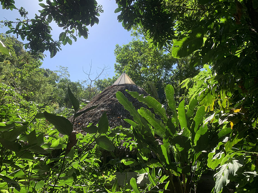Se Alquila Casa Jaguar en el Selvatorium!